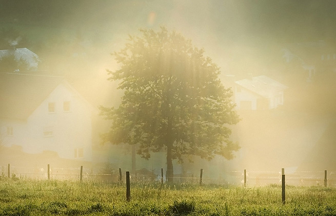 炸你妹在线轰炸