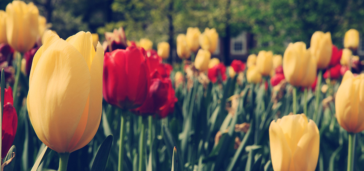 手机号狂轰滥炸软件