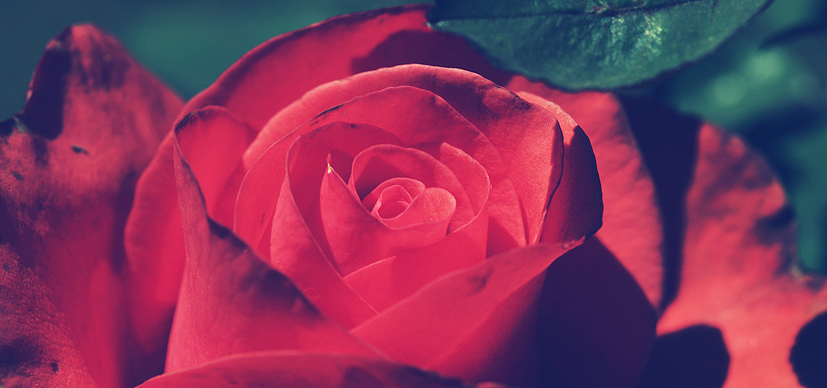 免费呼叫轰炸神器网页版